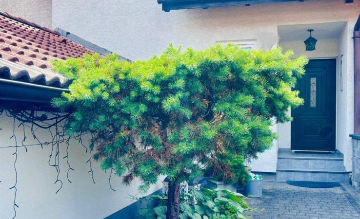 house for sale - Rybnik, Nowiny