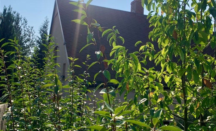 dom na sprzedaż - Wodzisław Śląski