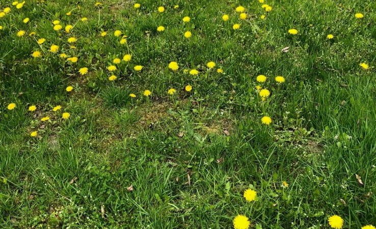 działka na sprzedaż - Rybnik, Rybnicka Kuźnia